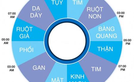 8-khung-gio-co-the-thai-doc-manh-me-nam-lay-de-an-ngu-dung-gio-noi-tang-khoe-manh-khong-lo-benh-tat-419.html